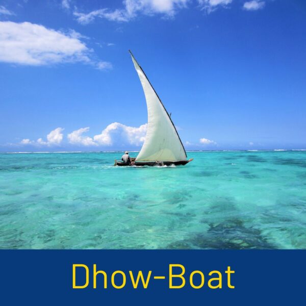 Local Dhow-Boat Trips: Sail into Tradition
